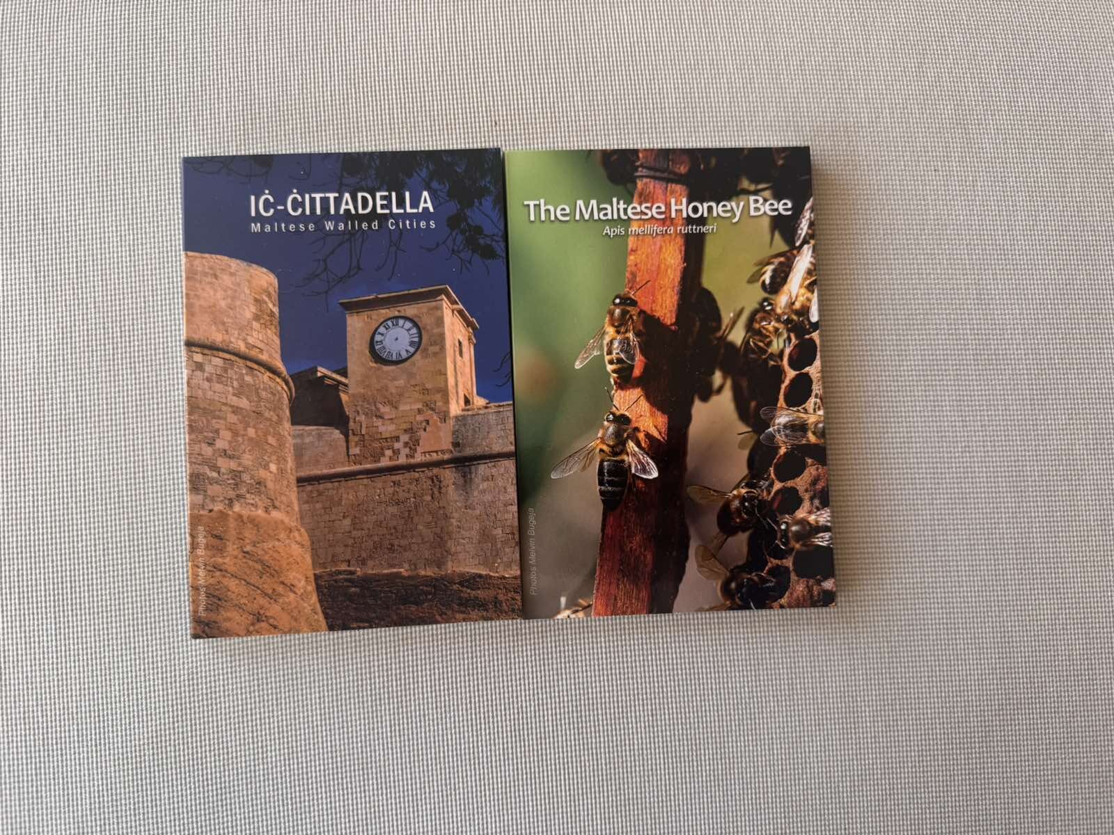 Malta 2024 Cittadela + BEE